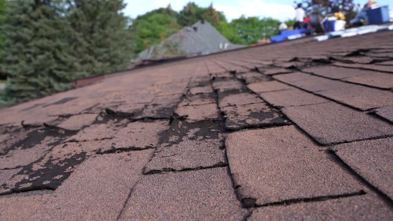 Best Roof Coating and Sealing  in Plainview, NY