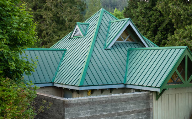 Best Roof Maintenance and Cleaning  in Plainview, NY