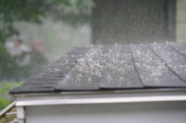 Best Green or Eco-Friendly Roofing Solutions  in Plainview, NY
