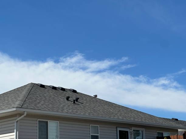 Best Cold Roofs  in Plainview, NY